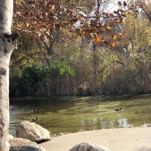 Meet your Posher, Areli